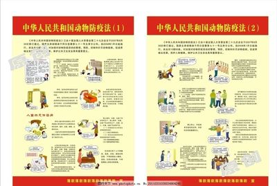 代理代辦法律服務(wù) 合法權(quán)益的有力保障